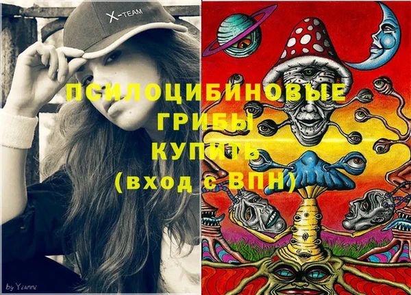 молекула духа Баксан