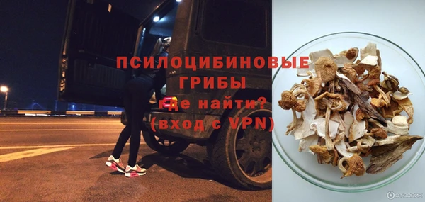 молекула духа Баксан